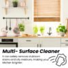 Multi-Surface Kitchen Degreasing Cleaner
