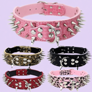 1762853234 Anti-Bite Rivet Dog Collar Rope
