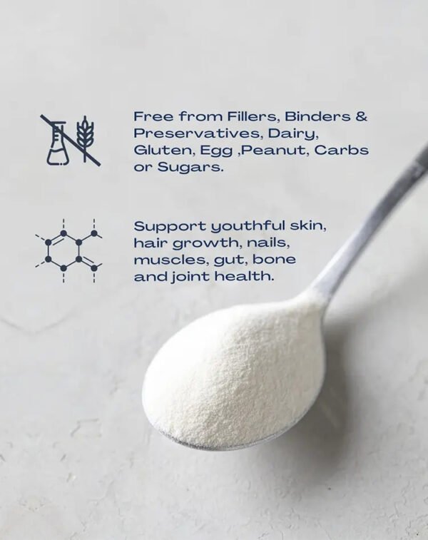 Natural Multi-Collagen Beauty Powder