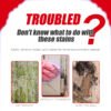 DB76DFC856C37987135D74E6CD5300CF.jpg Bathroom & Kitchen Mildew Remover