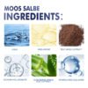 Aloe Vera Ginkgo Anti-Wrinkle Cream
