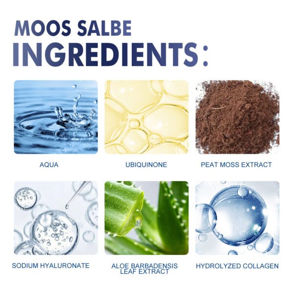 Aloe Vera Ginkgo Anti-Wrinkle Cream