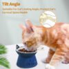 H05b47c89cdd14b8baa8adcc9124a8d08u.jpg_720x720q50.jpg Raised Ceramic Dog Feeder Bowl