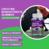 H19d3a177f348427aa469caf55e32c8c1x.jpg_720x720q50.jpg Creatine Monohydrate Energy Boost Gummies