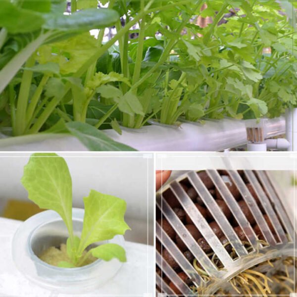 H1e971b1b94074d36b71e44106485f378u.jpg_720x720q50.jpg Hydroponic Plastic Fixing Basket