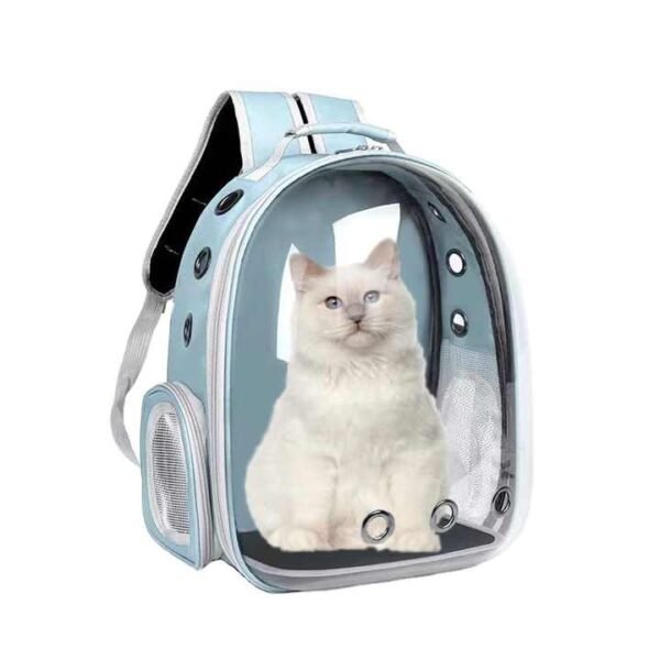 H3253a8959fb54a8b813cfede21de1021E.jpg_720x720q50.jpg Transparent Space Cat Travel Backpack