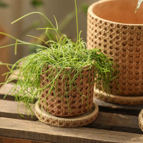 H3ca96dc81da14ad191b45c9c1ddada02O.jpg_720x720q50.jpg Vintage Checkered Cement Flower Planter