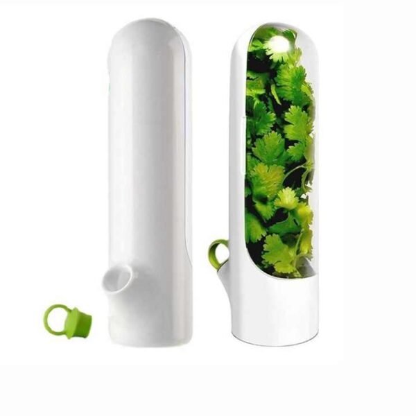 Vegetable Storage Containers with Water Base