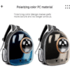 Recycled Transparent Bubble Pet Backpack