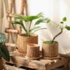 H5ee76688c93d417e8825ea8729787504T.jpg_720x720q50.jpg Vintage Checkered Cement Flower Planter