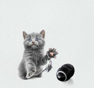 Automatic Running Cat Teaser Toy