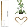 Adjustable Coconut Coir Plant Stake
