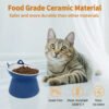 H9ba6c545611245bfab059eed86dae3c4V.jpg_720x720q50.jpg Raised Ceramic Dog Feeder Bowl
