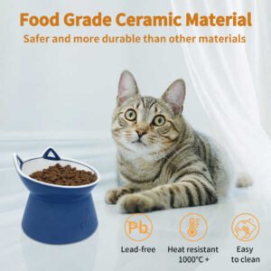 Raised Ceramic Dog Feeder Bowl