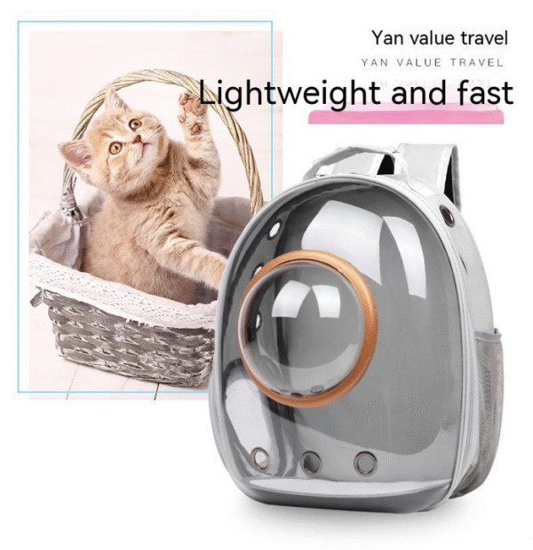 Recycled Transparent Bubble Pet Backpack