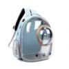 Transparent Pet Carrier Bag