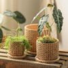 Hb7d5c138d9884949ab4702ba09eb91f5s.jpg_720x720q50.jpg Vintage Checkered Cement Flower Planter