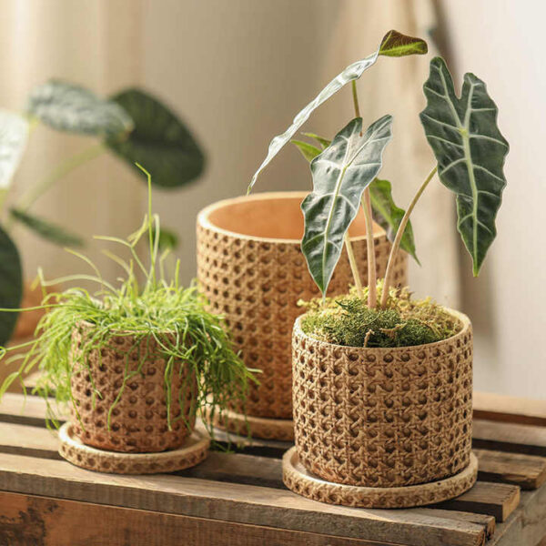 Hb7d5c138d9884949ab4702ba09eb91f5s.jpg_720x720q50.jpg Vintage Checkered Cement Flower Planter