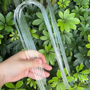 Clear Acrylic Plant Support Trellis