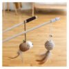 1 Interactive Cat Teaser Toy
