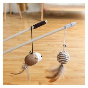 Interactive Cat Teaser Toy