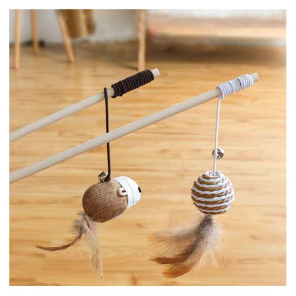 1 Interactive Cat Teaser Toy