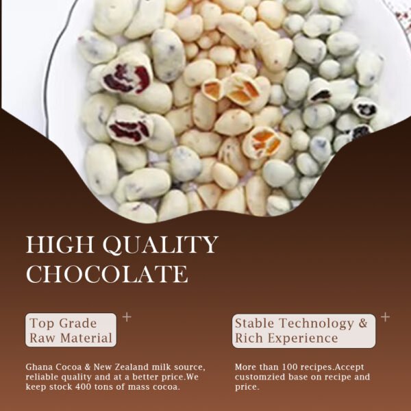 2 Freeze-Dried Fruit Chocolate Snack Bag