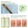 3 OEM Anti-Hair Fall Biotin Shampoo