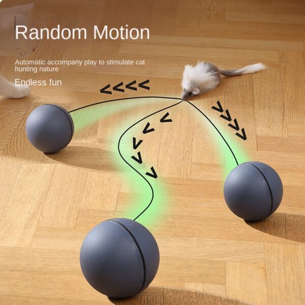555378261 Automatic Electric Cat Teaser Ball Toy