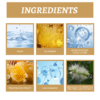 562796058 EELHOE Propolis Nicotinamide Photosensitive Essence