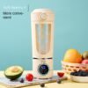 Portable USB-Charging Juicer & Ice Crusher Cup