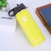 10903189938_2132485392.jpg Gradient Stainless Steel Thermos Cup