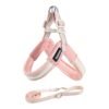 Dog leash chest strap vest