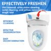 Toilet Effervescent Tablet