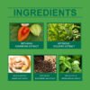 565021991 Ashwagandha Foot Patches