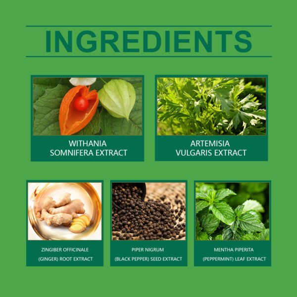 565021991 Ashwagandha Foot Patches