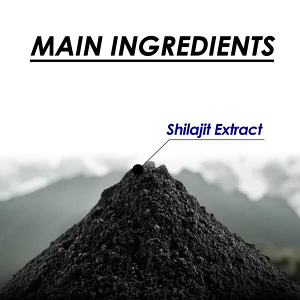 564765450 Shilajit Extract Supplement