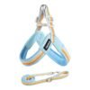 Dog leash chest strap vest