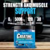 CREATINE MONOHYDRATE GUMMIES