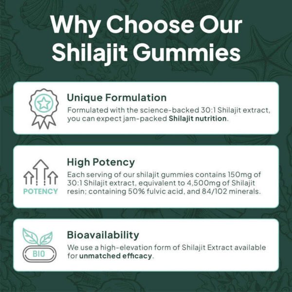Shilajit Gummies | Energy Gummies | Pure Himalayan Shilajit for Men & Women