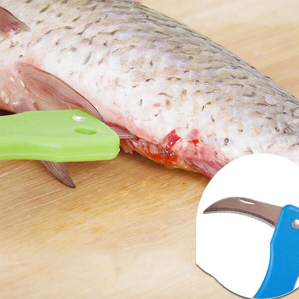 Efficient Mess-Free Fish Scale Scraper