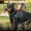 566225144 Tactical dog vest: for large dogs (German Shepherd, Golden Retriever) – training, military-style accessories.