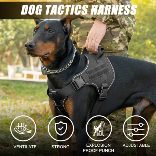 566225144 Tactical dog vest: for large dogs (German Shepherd, Golden Retriever) – training, military-style accessories.