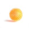 568529626 Interactive Pig Face Dog Ball