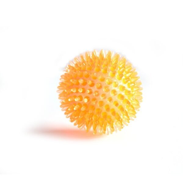 568529626 Interactive Pig Face Dog Ball