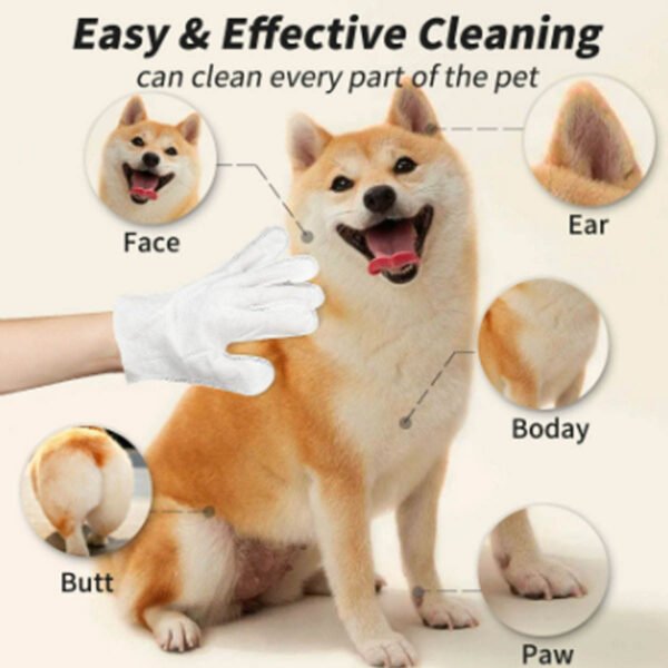 566225190 Pet supplies pet ear cleaning wipes ear care finger cots ear cleaning 