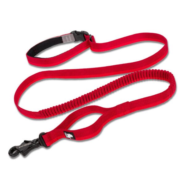 Pet Dog Leash With Elastic Cushioning
