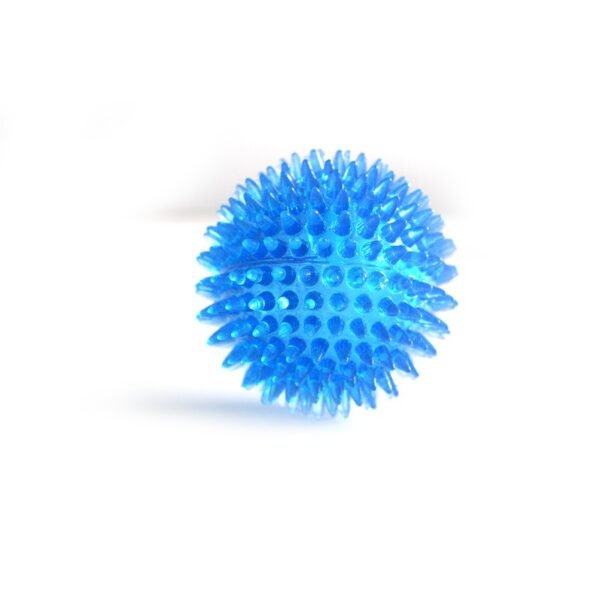 568529627 Interactive Pig Face Dog Ball