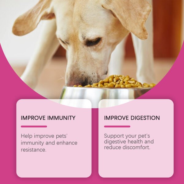 566224900 Dog Probiotic Tablets To Improve Intestinal Health,