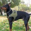 566225138 Tactical dog vest: for large dogs (German Shepherd, Golden Retriever) – training, military-style accessories.